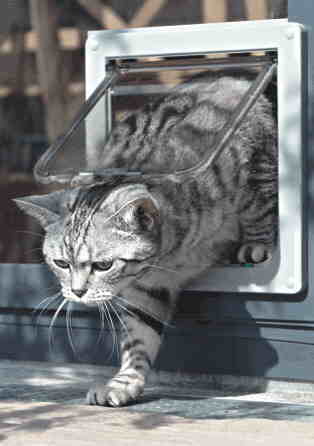 Katzenklappe